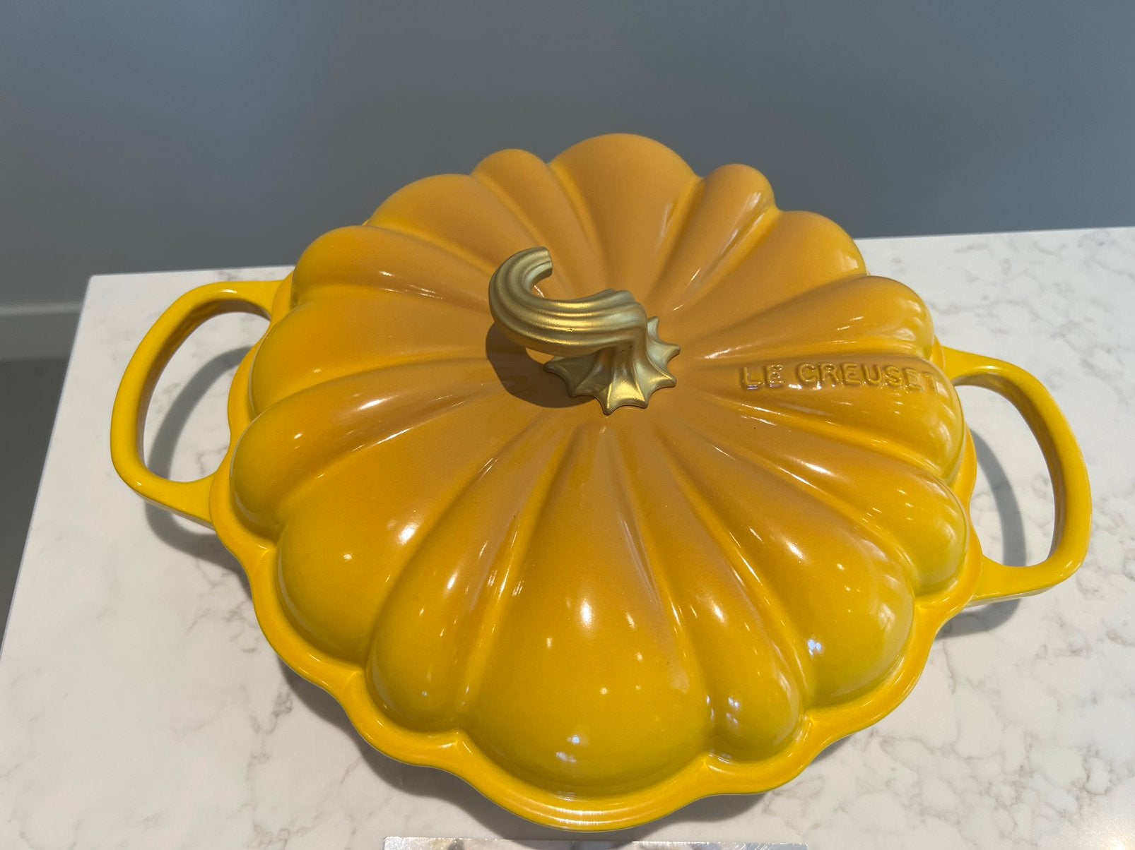 Nieuwe Le Creuset pompoen 28 cm Nectar, Huis en Inrichting, Keuken | Potten en Pannen, Met handvatten, Nieuw, Le Creuset, Ophalen of Verzenden