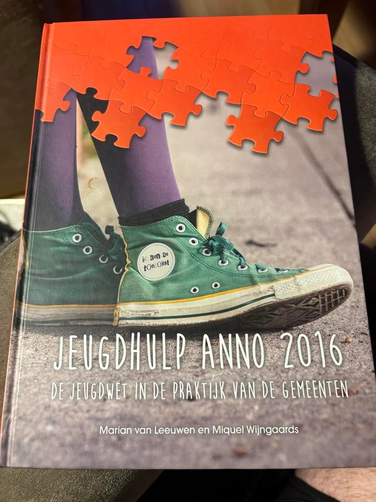 Jeugdhulp Anno 2016: De Jeugdwet in de Praktijk, Boeken, Ophalen of Verzenden, Gamma, Gelezen, HBO