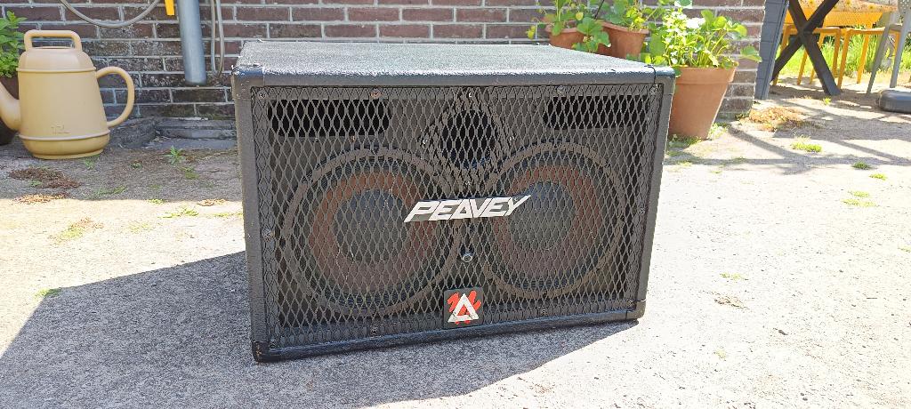 Peavey 210TVX, Ophalen, Gebruikt, Basgitaar, 100 watt of meer