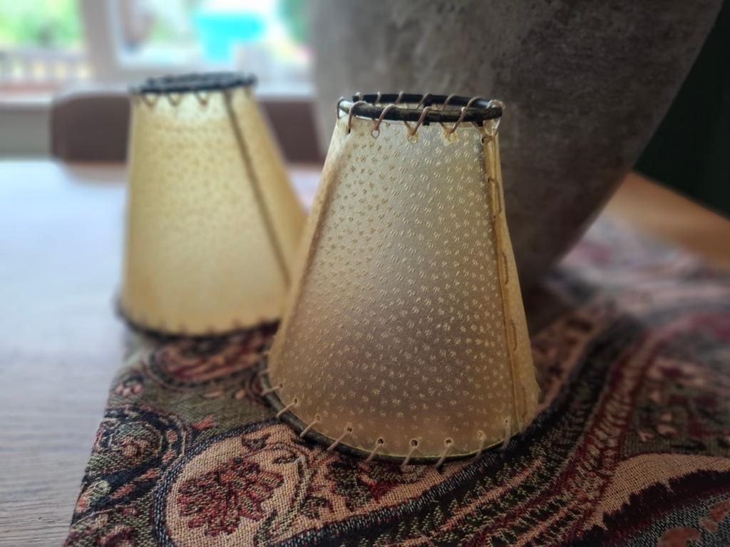 2 lampenkapjes varkensblaas, Huis en Inrichting, Lampen | Lampenkappen, Ophalen of Verzenden, Rond, Minder dan 25 cm