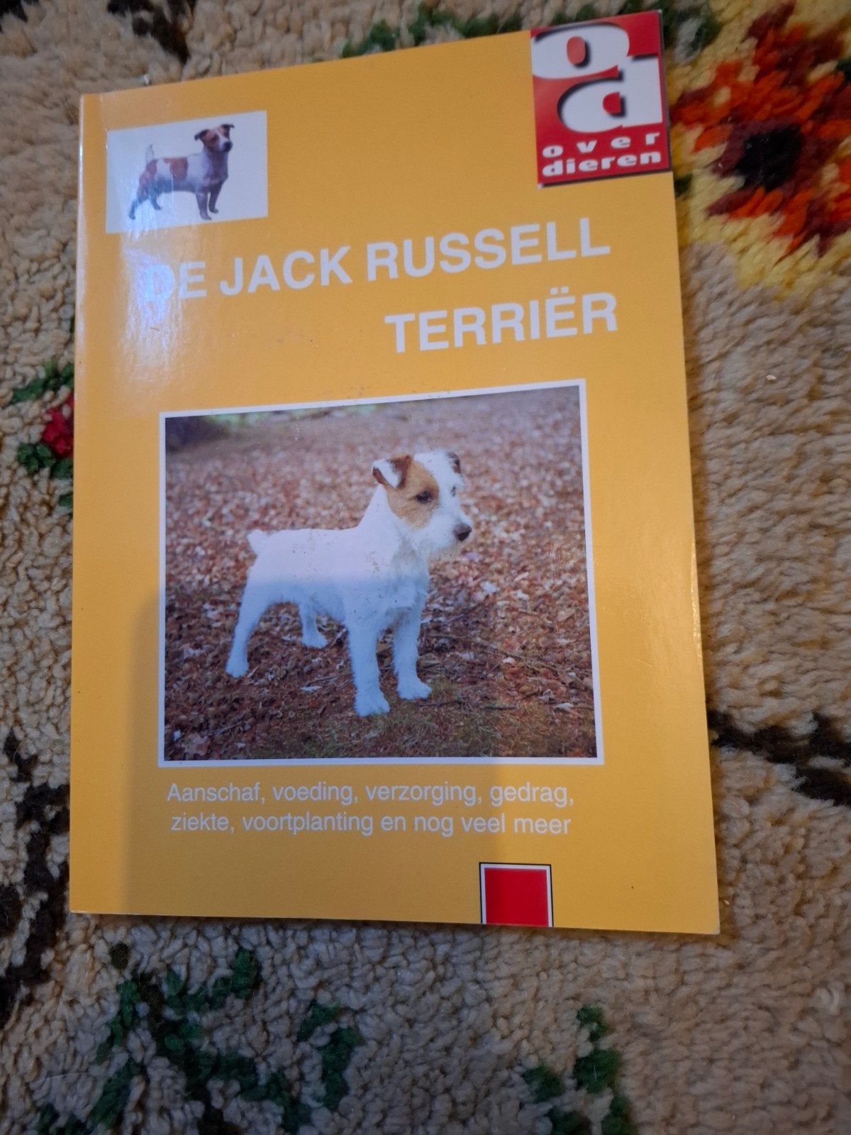 Boek: De Jack Russell Terriër - Alles over het ras, Boeken, Ophalen of Verzenden, Gelezen, Honden