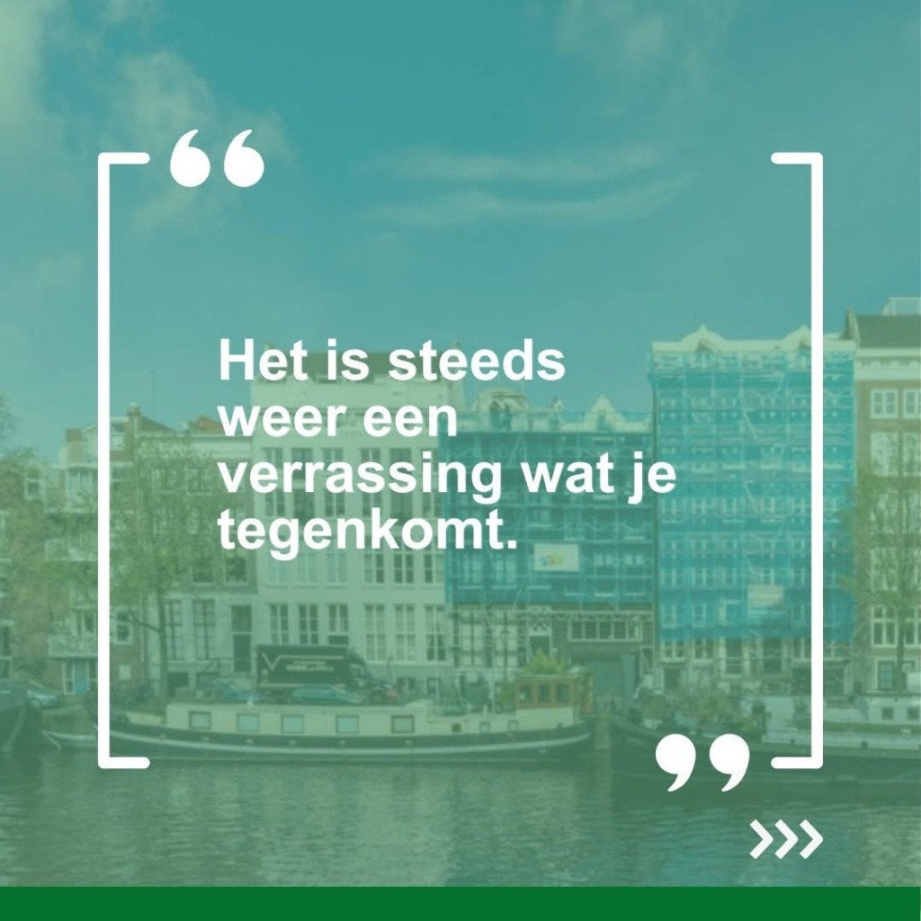 Houtrot problemen?. Geen Nood dit kan morgen anders zijn!., Ophalen of Verzenden, Gebruikt, Overige typen