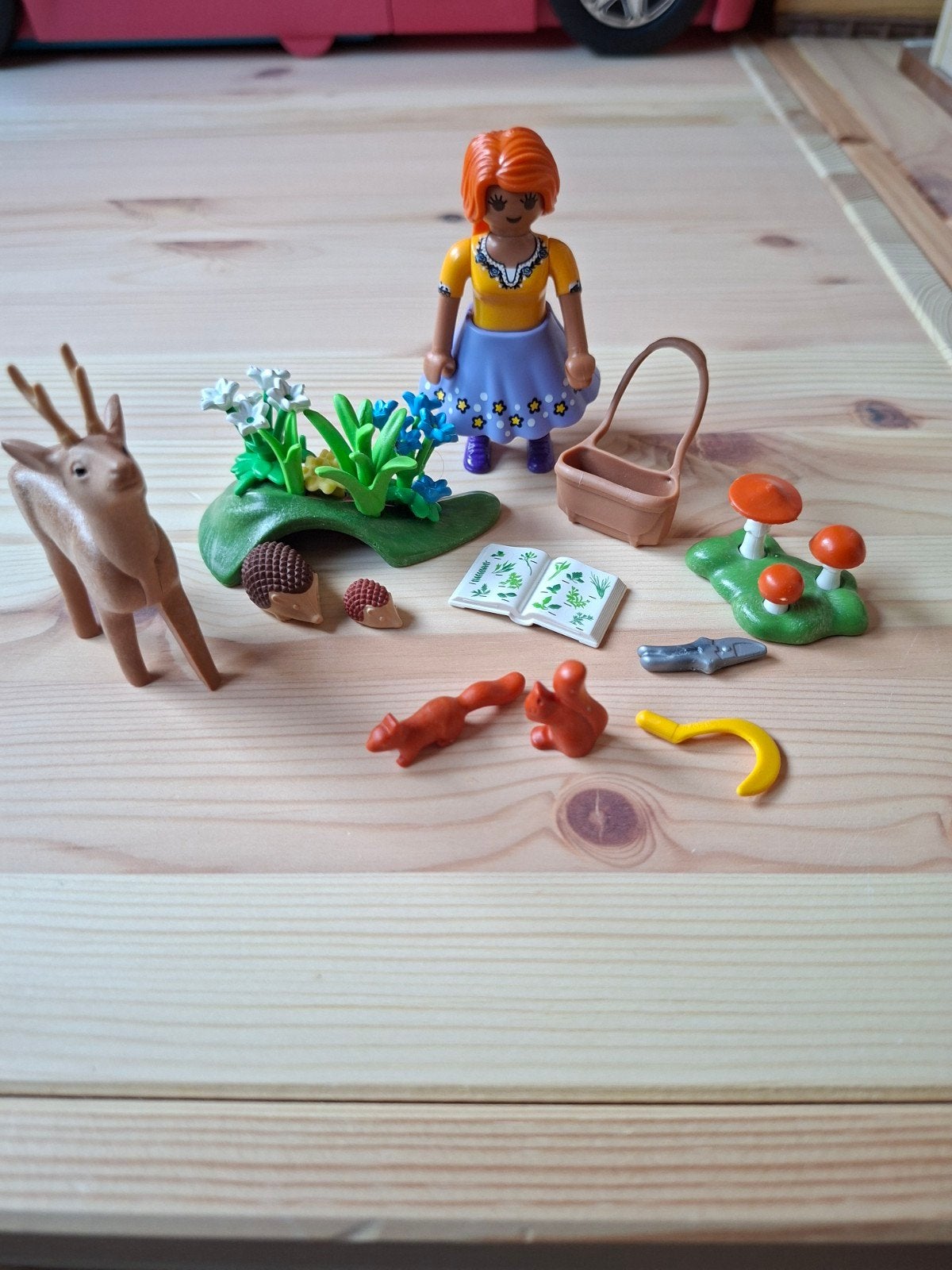Playmobil Family Fun Kruidendokter Set 71188 - Nieuwstaat, Kinderen en Baby's, Complete set, Nieuw, Figuren, Family fun
