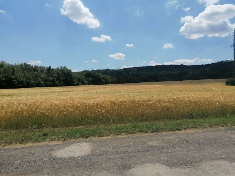 2,5 hectare bouwgrond aan de rand van het bos nabij de stad., Overige soorten, Overig Europa, Stad