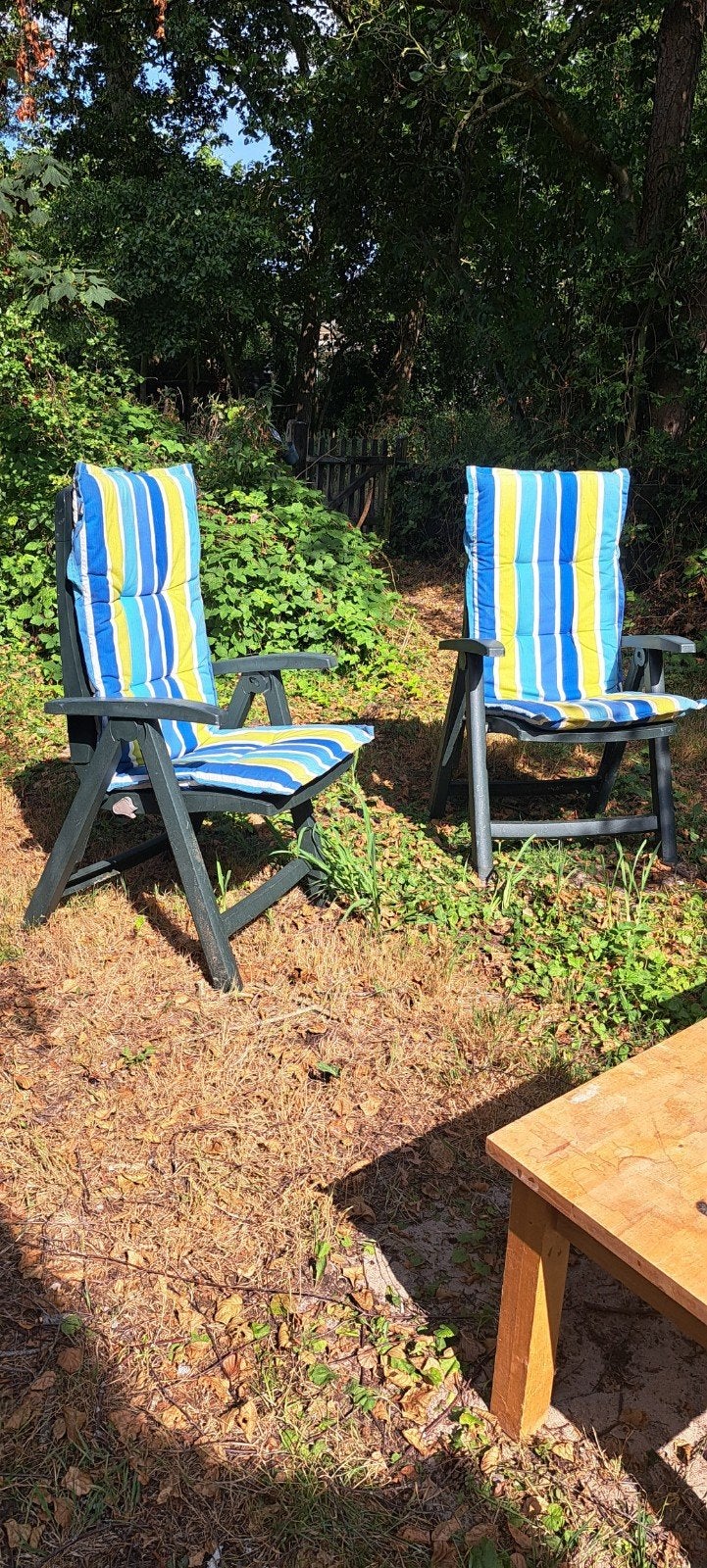 Twee Hartman verstelbare tuinstoelen groen, Tuin en Terras, Tuinstoelen, Ophalen, Gebruikt, Kunststof, Verstelbaar