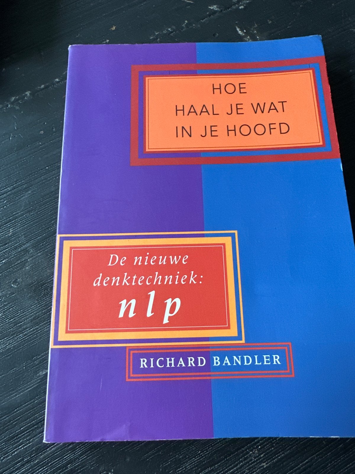Hoe haal je wat in je hoofd - NLP Richard Bandler, Ophalen of Verzenden, Gelezen, Overige onderwerpen