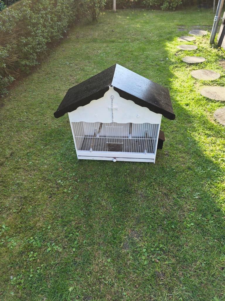 Duiven kooi of zangkooi voor merel of lijster, Dieren en Toebehoren, Ophalen of Verzenden, Zo goed als nieuw, Hout, Vogelkooi