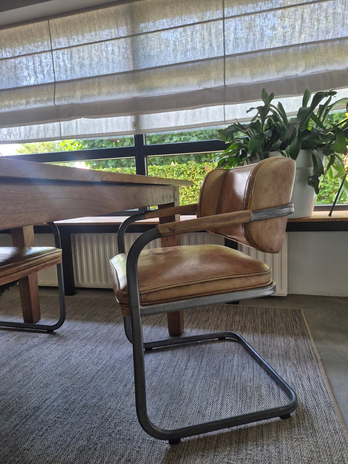 Set van 6  eetkamerstoelen van leer, Ophalen, Gebruikt, Bruin, Industrieel, Vintage
