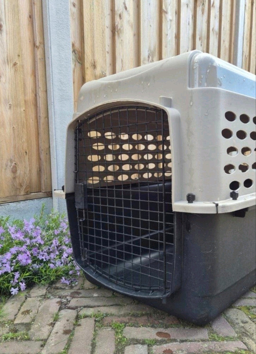 Mooie varikennel Ultra beschikbaar., Ophalen, Gebruikt