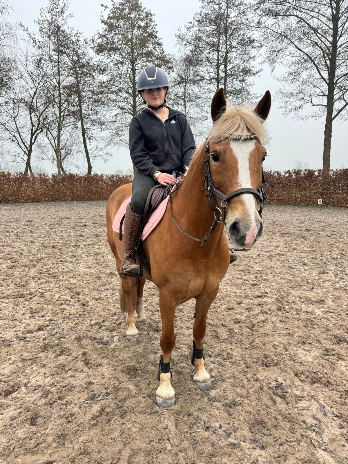 Mooie grof gebouwde D-pony merrie zoekt een passend thuis!, Merrie, Zadelmak, Recreatiepaard, 11 jaar of ouder