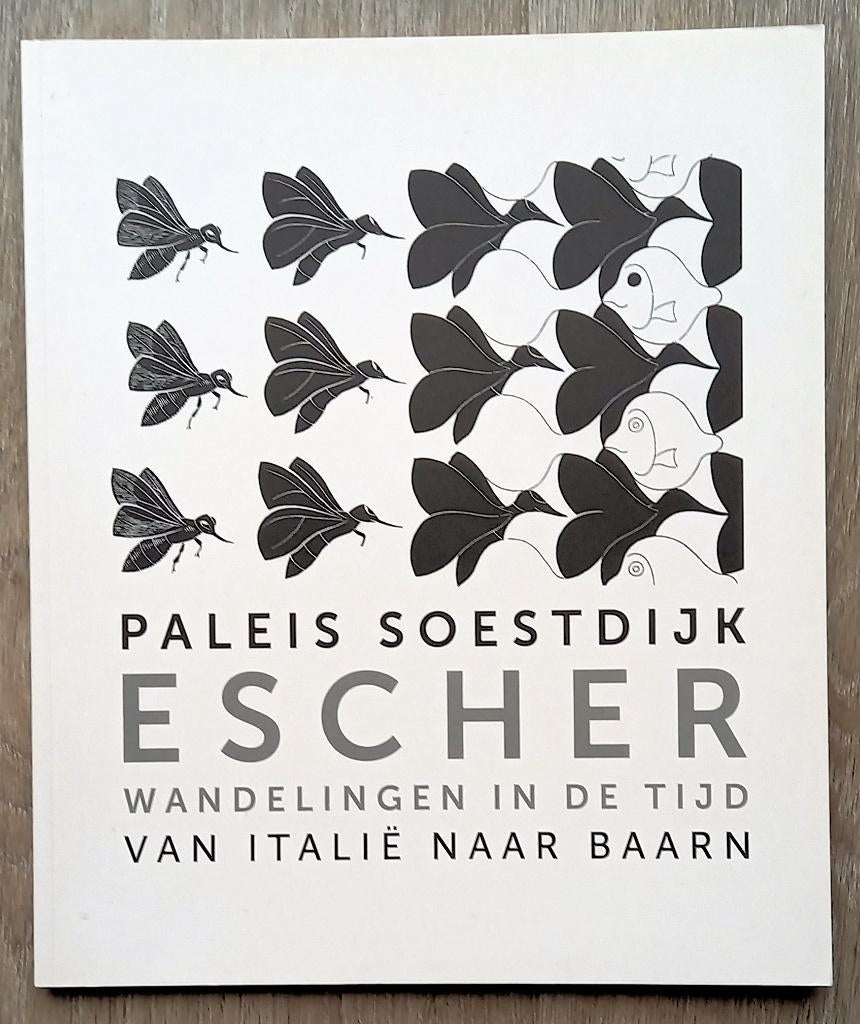 Escher Wandelingen in de tijd van Italië naar Baarn, Ophalen of Verzenden, Gelezen, Schilder- en Tekenkunst