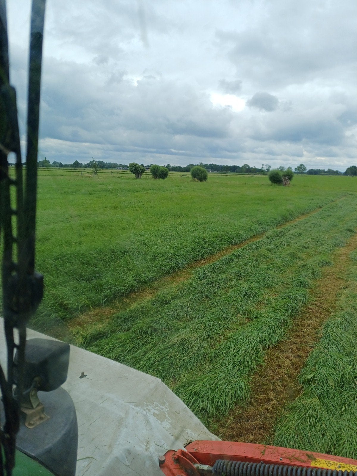 GEZOCHT gras op stam, Ophalen of Verzenden, Vee