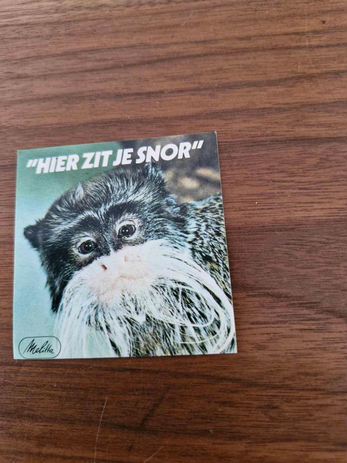 9811 Vintage Melitta Sticker "Hier zit je snor" Aap, Ophalen of Verzenden, Gebruikt, Dier en Natuur