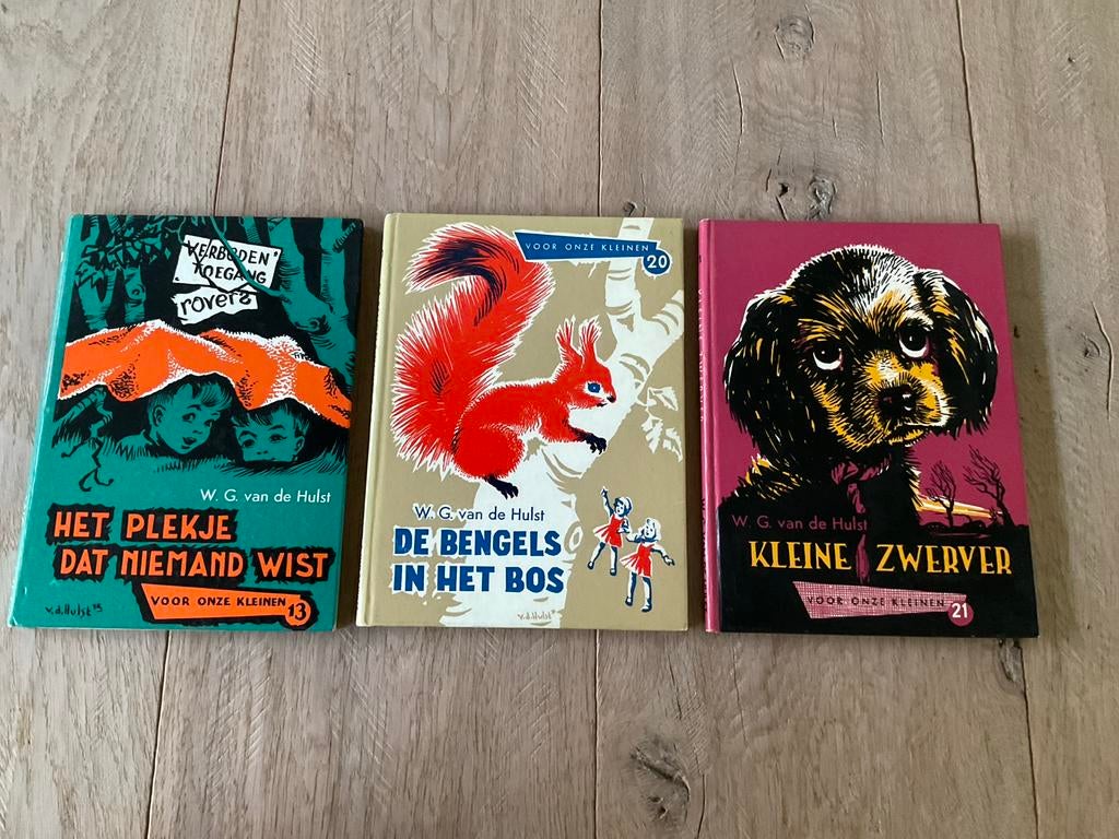W.G. van de Hulst boeken: Het Plekje, Bengels, Kleine Zwerve, Ophalen of Verzenden, Gelezen, Fictie algemeen