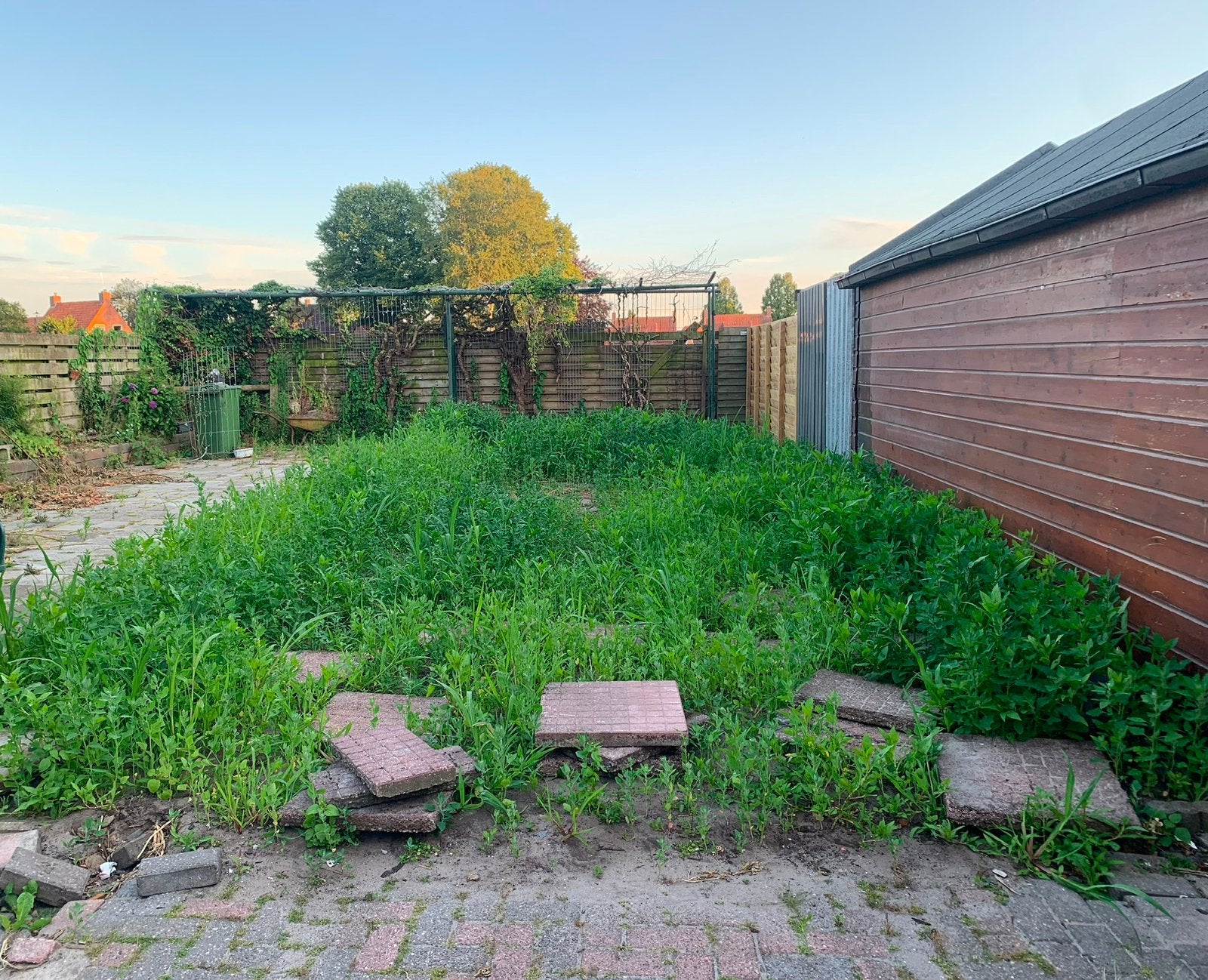 ‼️GEZOCHT/GEVRAAGD, Tuin en Terras, Ophalen, 10 m² of meer, Overige typen