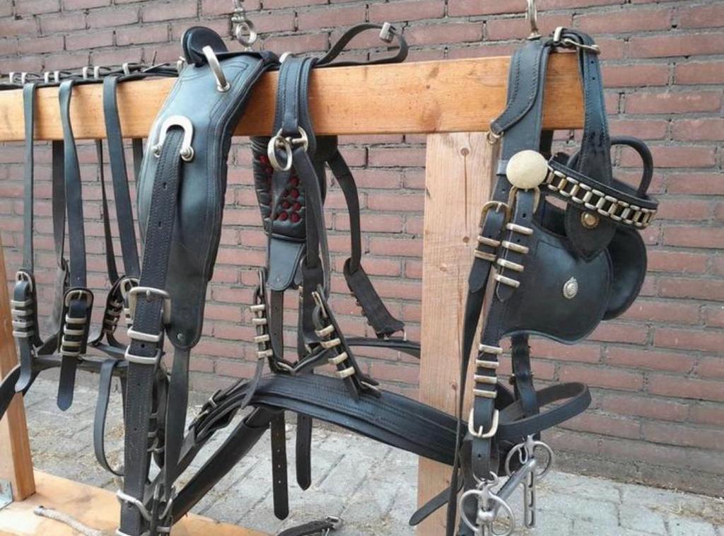 Zigeuner tuig, Ophalen of Verzenden, Gebruikt, Overige soorten