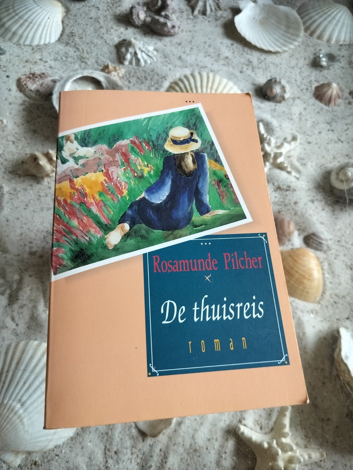 Rosamunde Pilcher - De thuisreis, Boeken, Ophalen of Verzenden, Gelezen, R. Pilcher