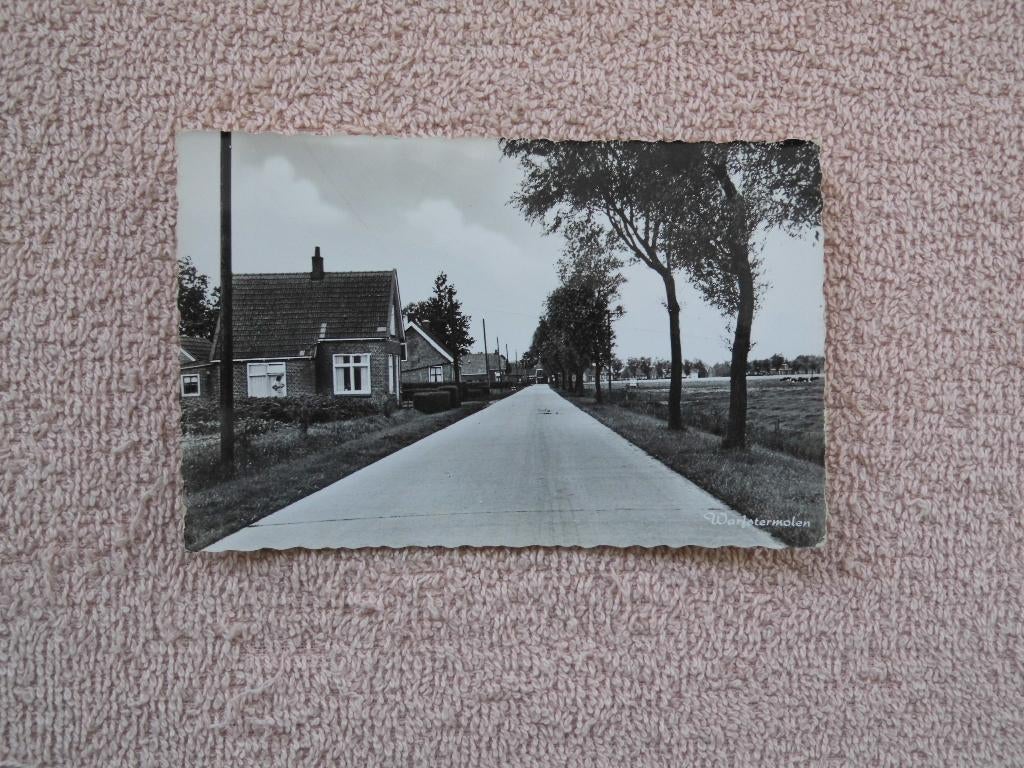 Warfstermolen , op de grens Friesland / Groningen, Verzamelen, Ansichtkaarten | Nederland, Ophalen of Verzenden, 1940 tot 1960