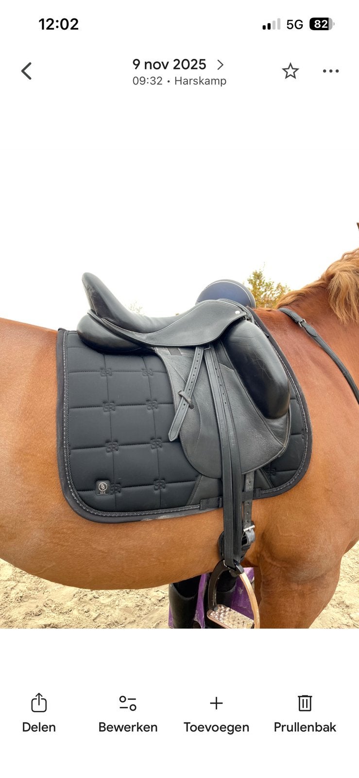 Custom Icon Coda 17,5 inch/ Prestige Top Dressage 18 inch, L (17.5 inch), Dressuur, Diepe zit, Ophalen of Verzenden