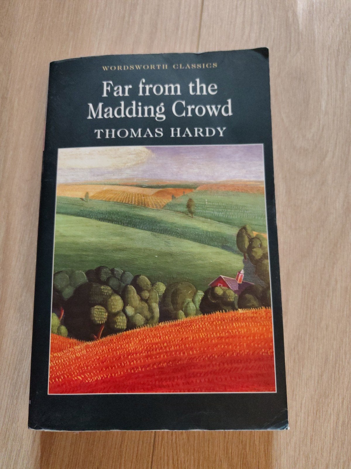 Far from the Madding Crowd - Thomas Hardy (Engels), Boeken, Ophalen of Verzenden, Gelezen, Thomas Hardy, Europa overig