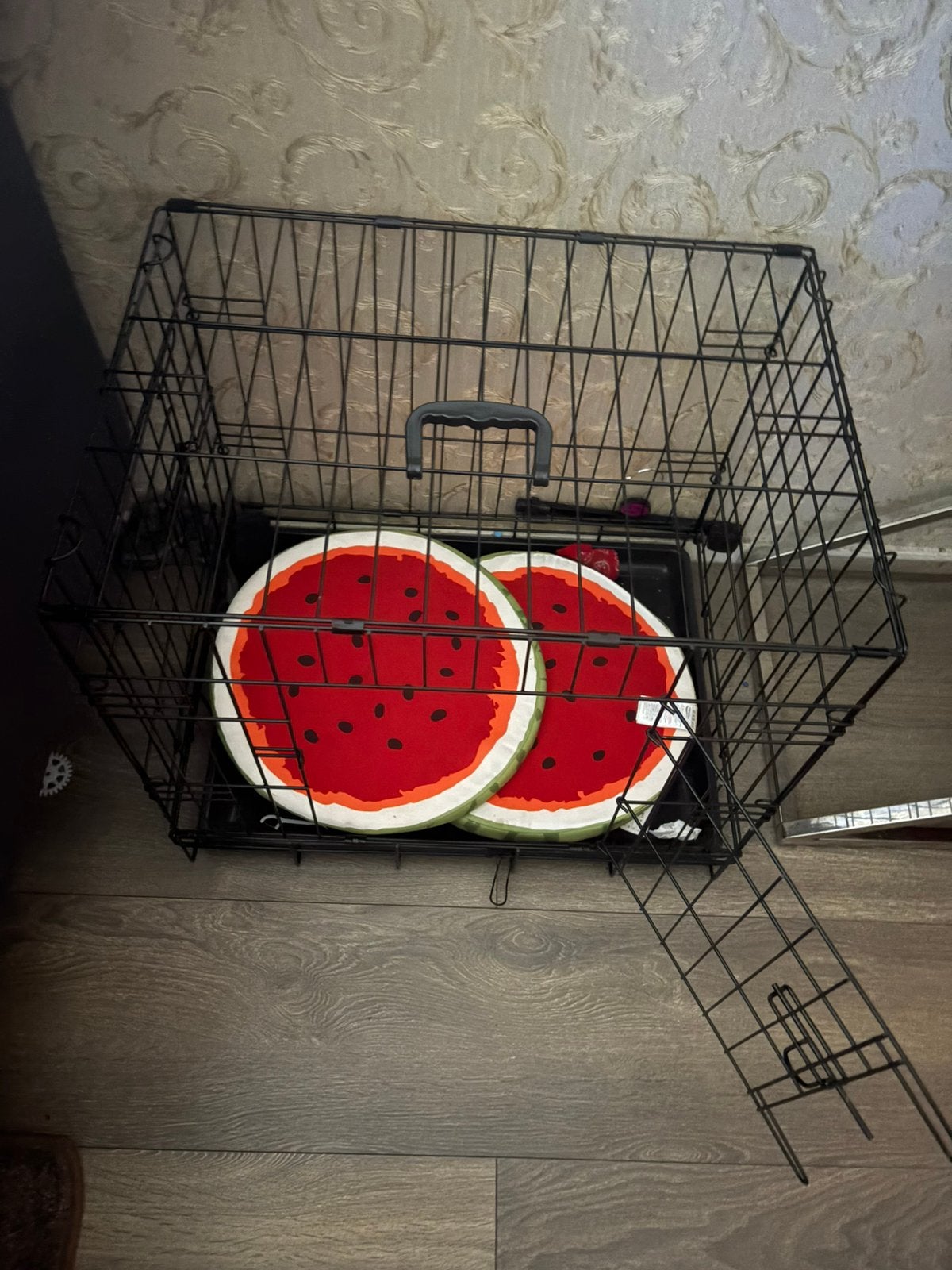 Honden bench 60 cm, Dieren en Toebehoren, Ophalen, Zo goed als nieuw, Minder dan 75 cm, Minder dan 65 cm