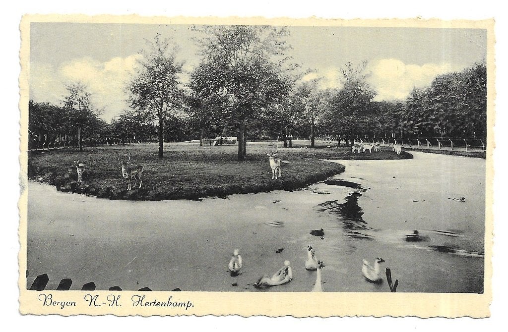 AK Bergen, NH - Hertenkamp, Verzenden, 1920 tot 1940, Gelopen, Noord-Holland