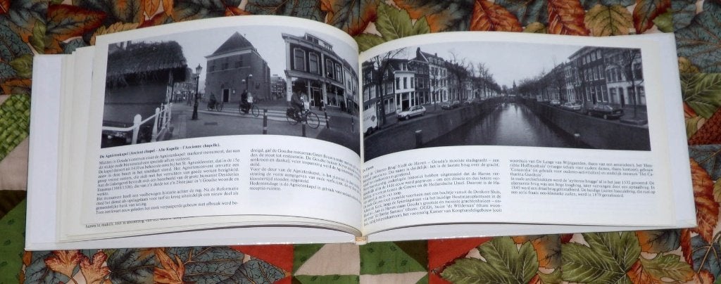Gouda in Panorama, Boeken, Ophalen of Verzenden, Zo goed als nieuw