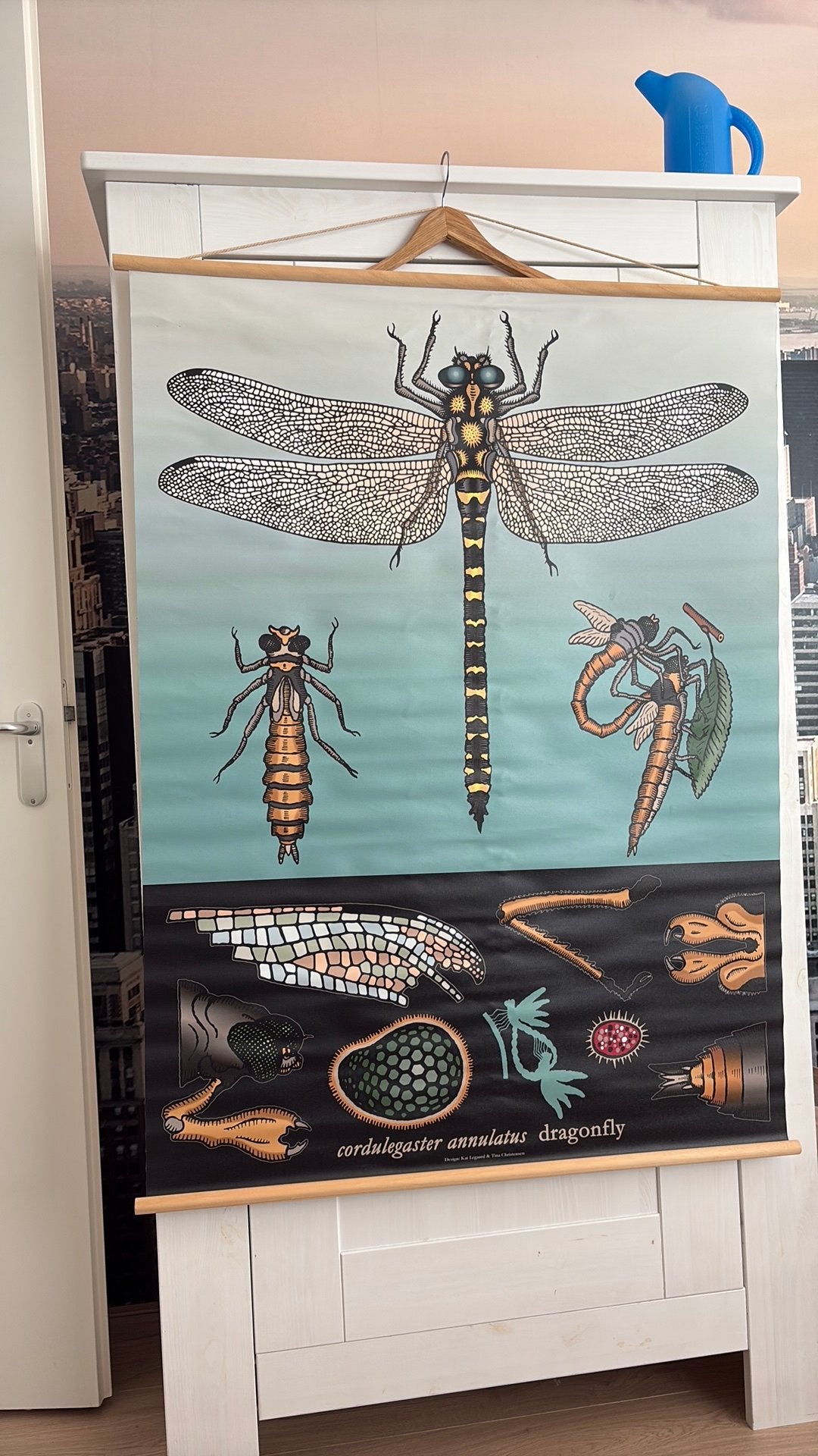 Poster Libelle Dragonfly, Ophalen of Verzenden, Gebruikt