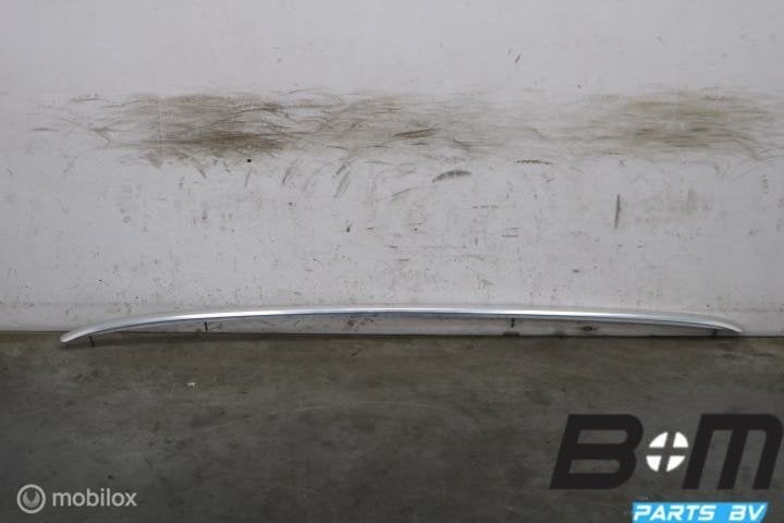Chromen dakrail links Audi A6 4F Avant 4F9860021J, Gebruikt