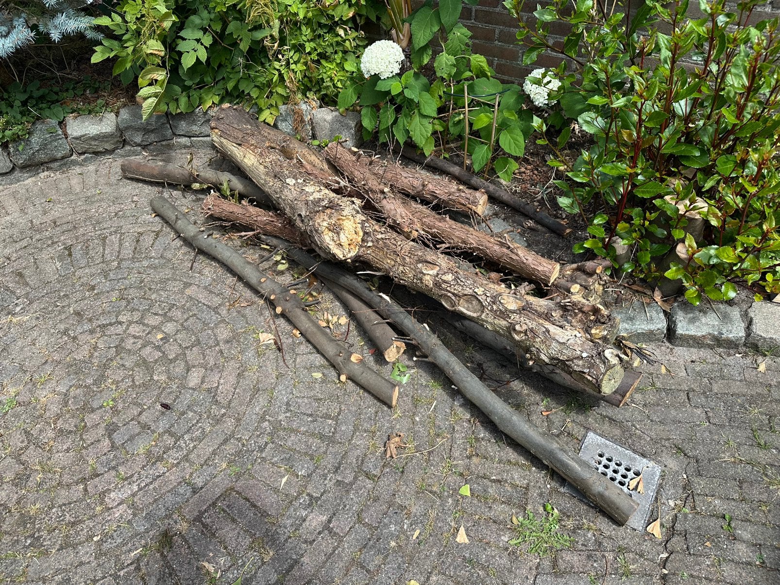 Gratis af te halen: tuinhout/snoeihout/haardhout, Tuin en Terras, Haardhout, Minder dan 3 m³, Ophalen, Stammen