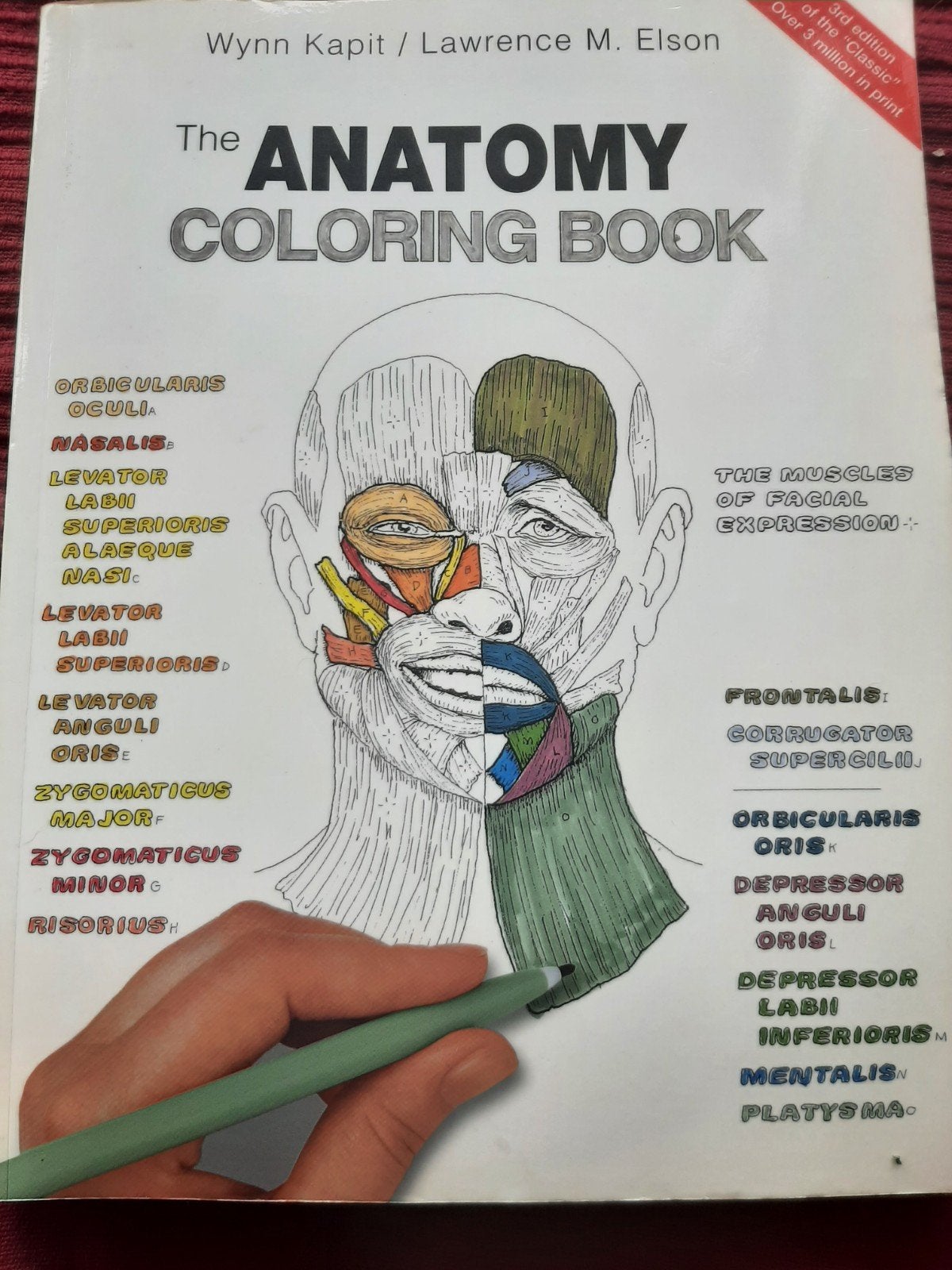 Studieboek Anatomy, Ophalen of Verzenden, Gebruikt, Boek of Gids