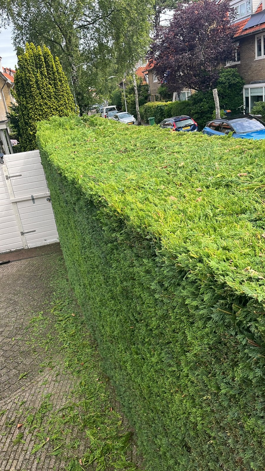 Tuinman bollestreek, Ophalen of Verzenden, Zo goed als nieuw