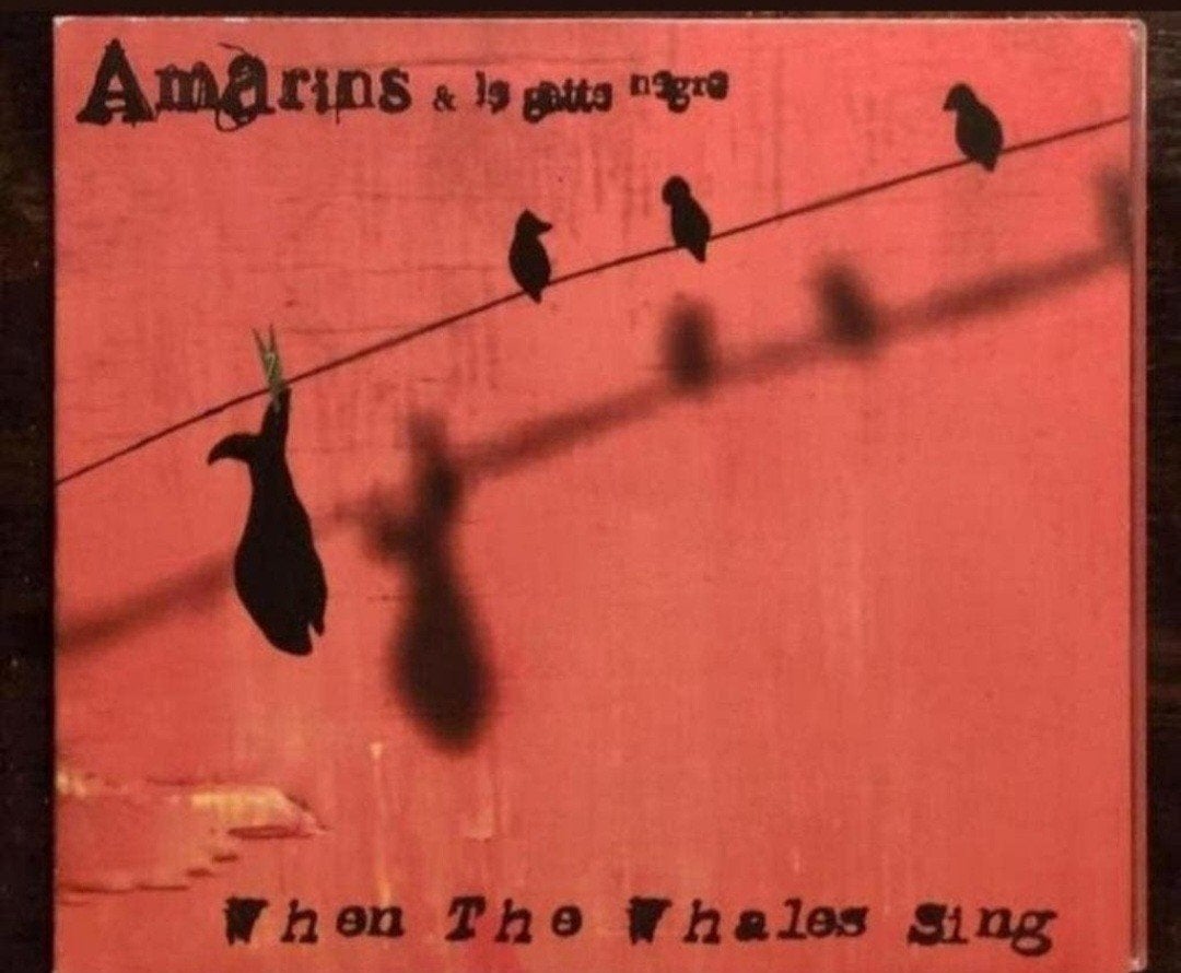 Amarins & la Gatta Negra - When The Whales Sing CD, Ophalen of Verzenden, Zo goed als nieuw, Pop, Album