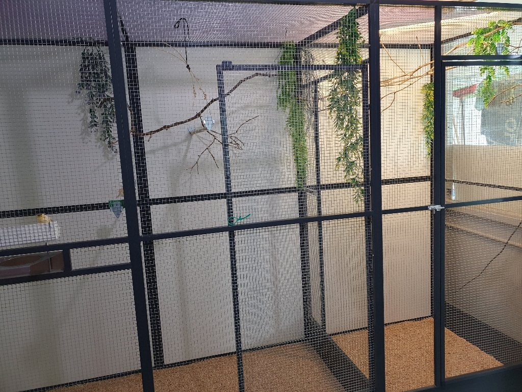 Binnen/Buiten voliere en2 broedkooien met verlichting tekoop, Ophalen, Zo goed als nieuw, Aluminium, Volière