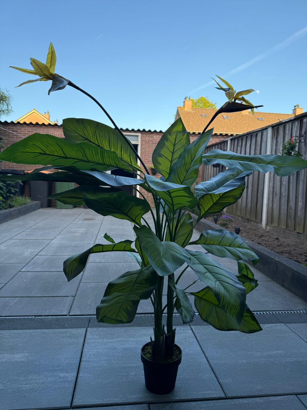 Grote Kunst Strelitzia Plant - Paradijsvogelbloem, Binnen, Kunstplant, Nieuw, Ophalen of Verzenden