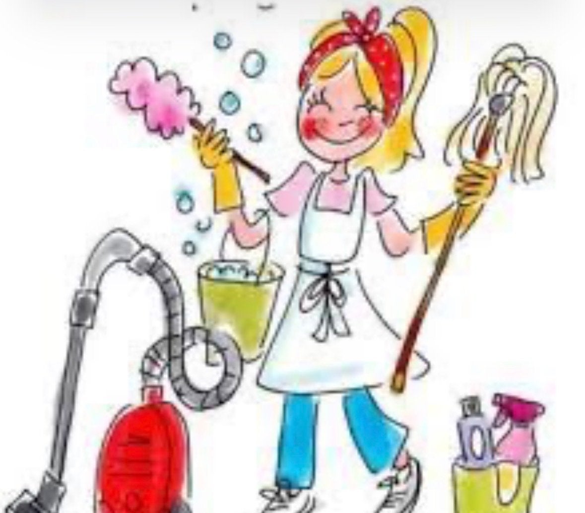 SCHOONMAAK TOPPER GEZOCHT PROJECT IN ZWAAG, Vacatures, Overige vormen