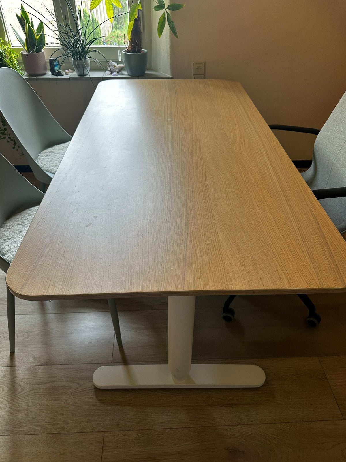 IKEA elektrisch zit-sta bureau, eiken blad 160x80 cm, Ophalen, Zit-sta bureau, Elektrisch, Gebruikt