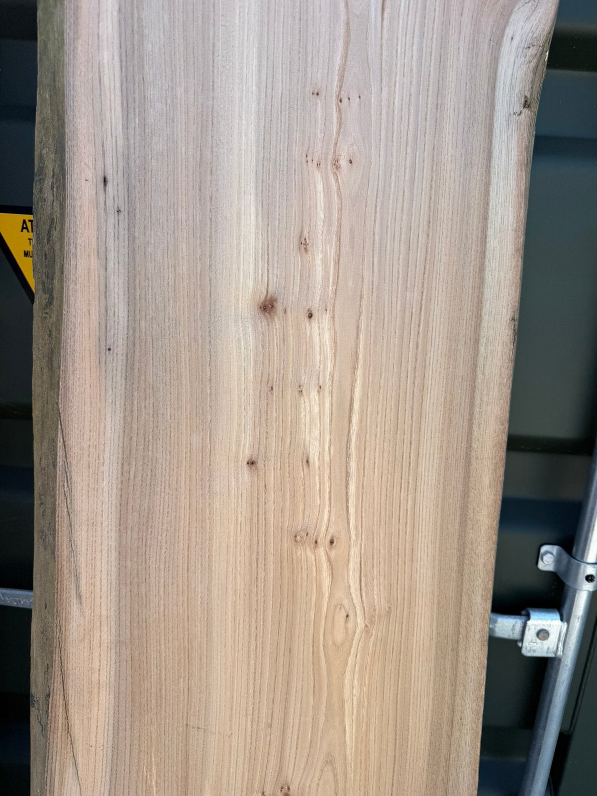 2 gedroogde geschaafde iepen boomstambladen voor 400 euro, Ophalen, Zo goed als nieuw, 250 cm of meer, Planken