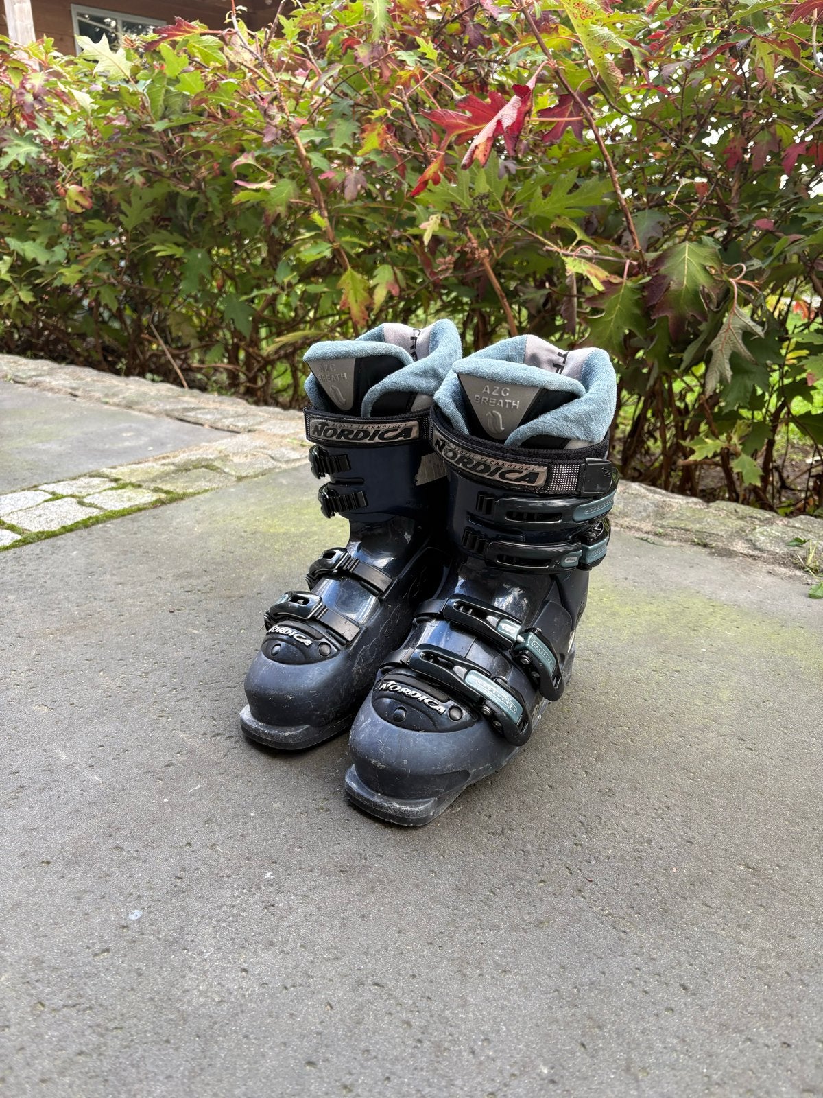 Nordica Dames Skischoenen Maat 37 - Gebruikt, Sport en Fitness, Ophalen, Gebruikt, Schoenen, Nordica