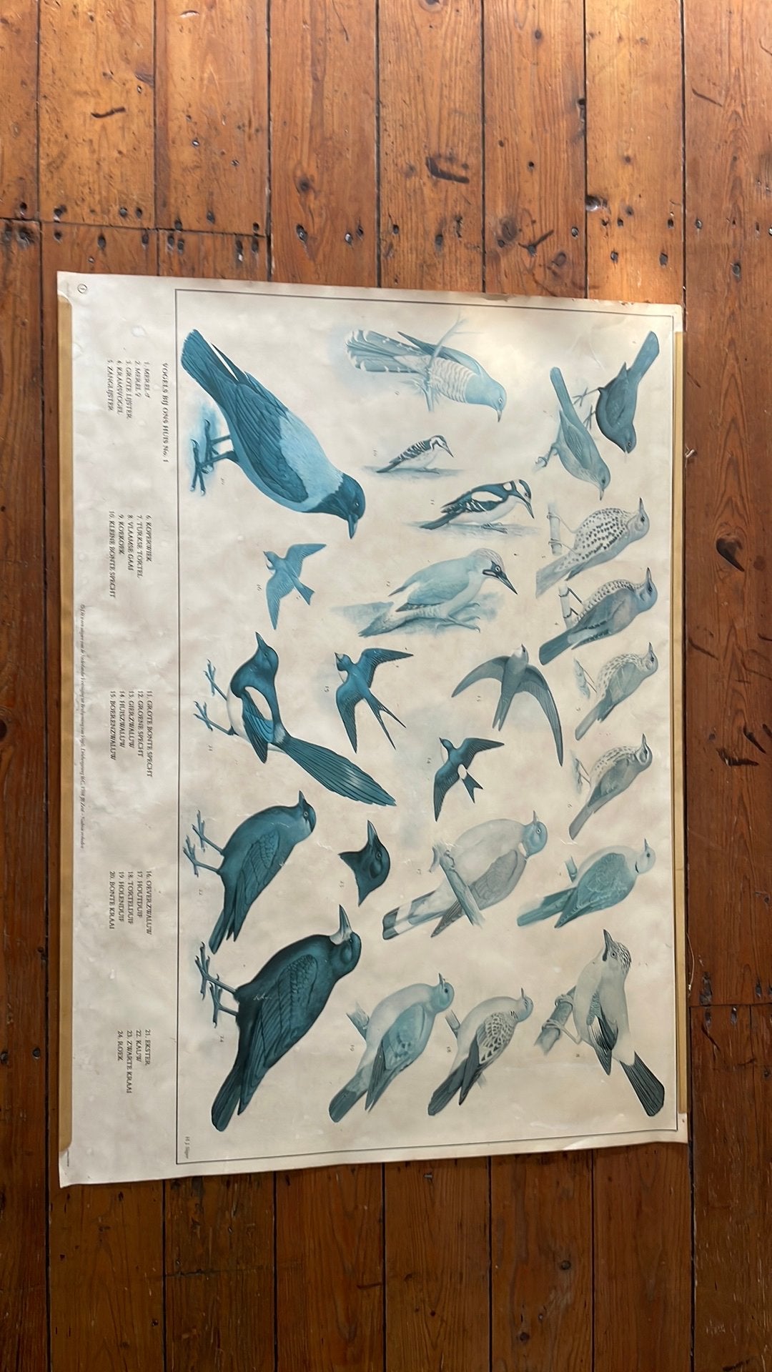 Vogels bij ons huis No. 1 H.J. slijper, Antiek en Kunst, Ophalen, Natuur en Biologie