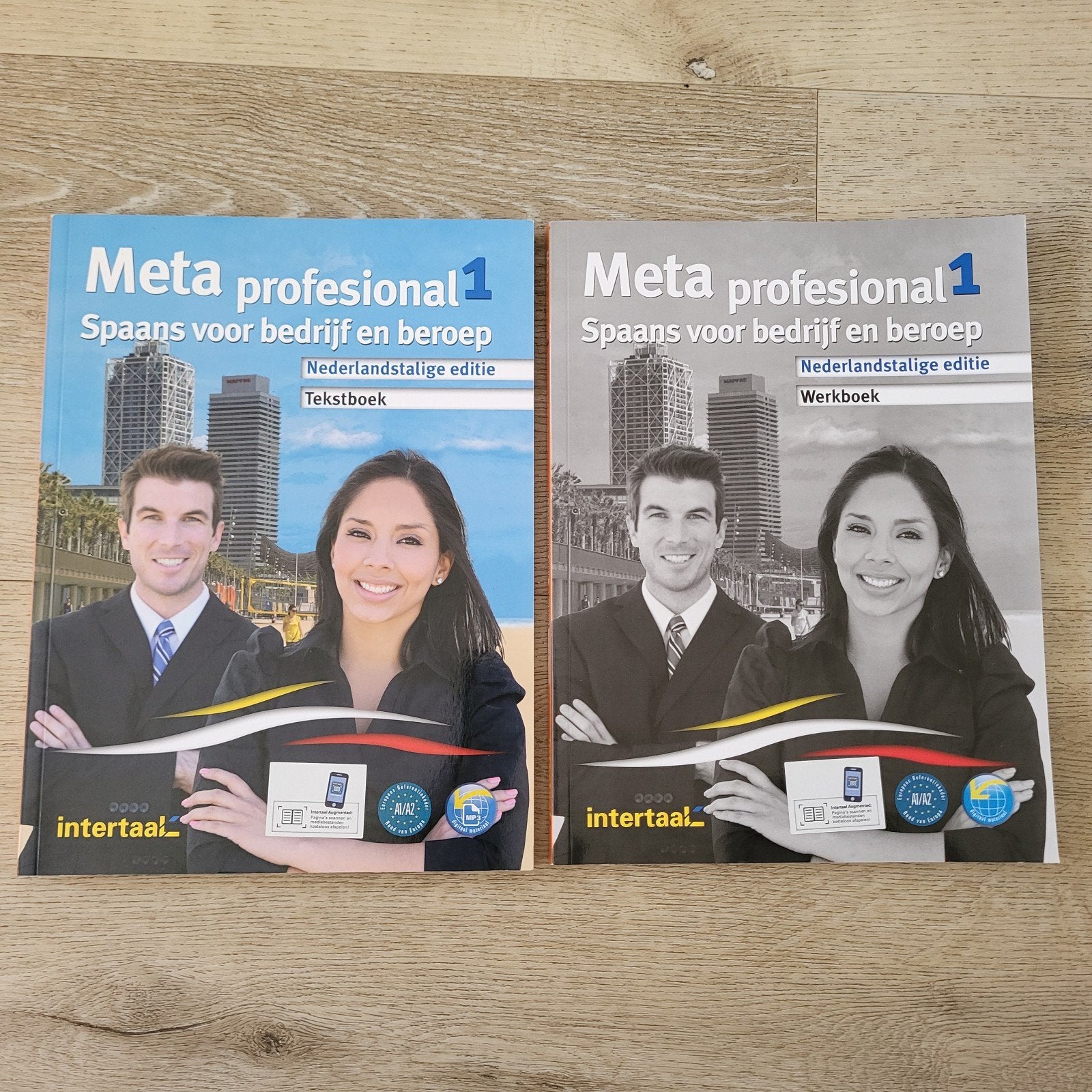 Meta Profesional 1: Spaans voor bedrijf en beroep (set), Non-fictie, Spaans, Nederlands, Ophalen of Verzenden, Zo goed als nieuw
