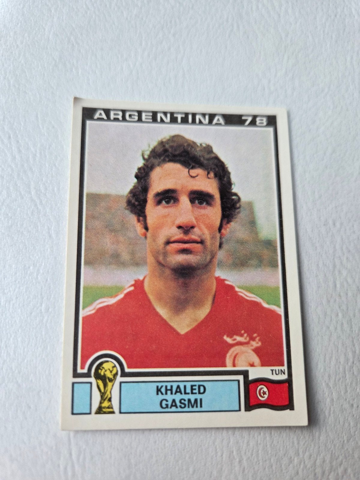 Panini WK 78, Verzamelen, Ophalen of Verzenden, Zo goed als nieuw, Buitenlandse clubs, Poster, Plaatje of Sticker