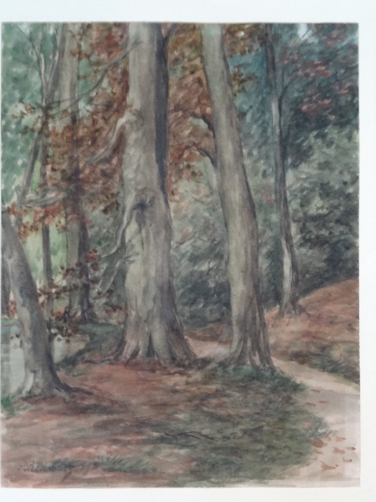 aquarel boszicht gesigneerd Eugène Rensburg 1893, Origineel werk, Ophalen of Verzenden, Landschap, Klassiek