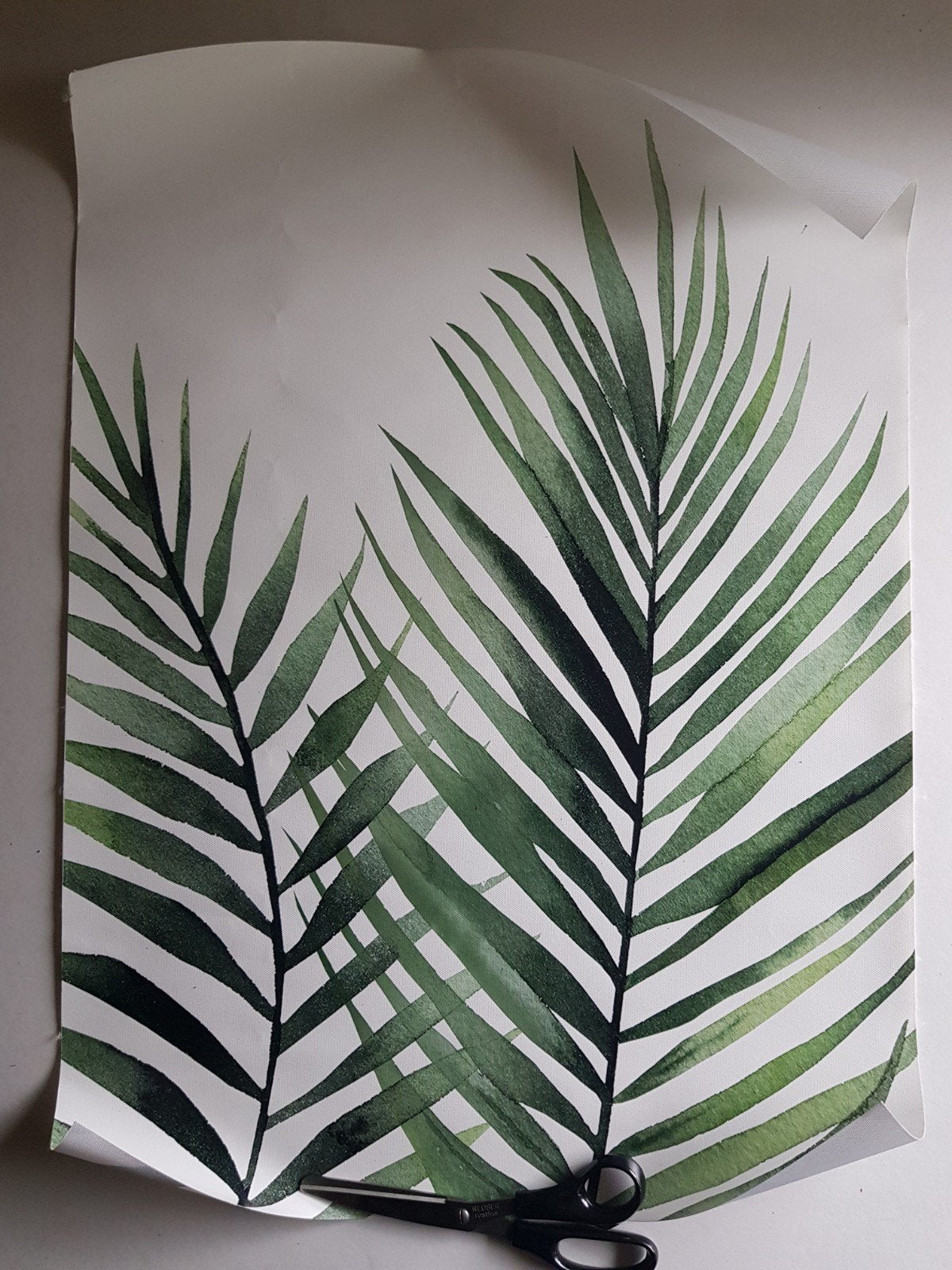 Poster blad plant 70 x 55 cm doek met print, Ophalen of Verzenden, Zo goed als nieuw, A1 t/m A3, Dier of Natuur