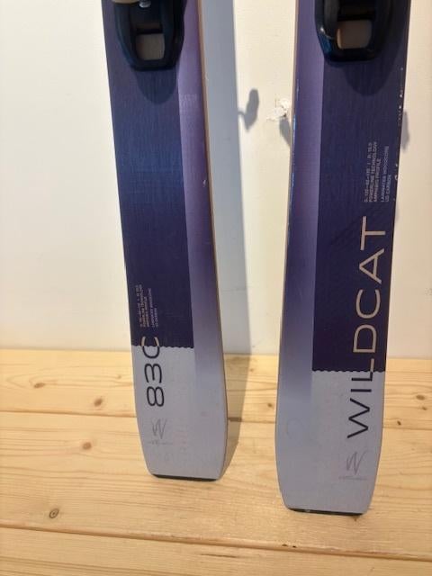 Elan Wildcat 83 C Dames Carveski's lengte 160 Testski's, Overige merken, Bergunje Slovenie, Ophalen of Verzenden, Zo goed als nieuw