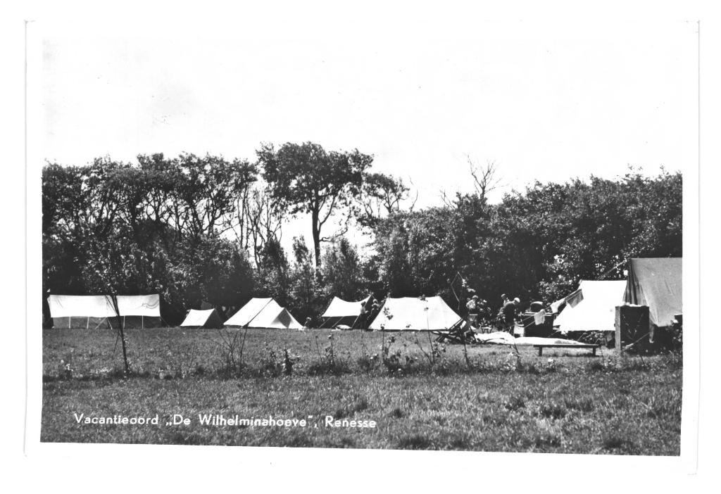 947023 Renesse 1956 Z Vacantieoord  Wilhelminahoeve  Gelopen, Verzamelen, Ansichtkaarten | Nederland, Gelopen, Zeeland, 1940 tot 1960