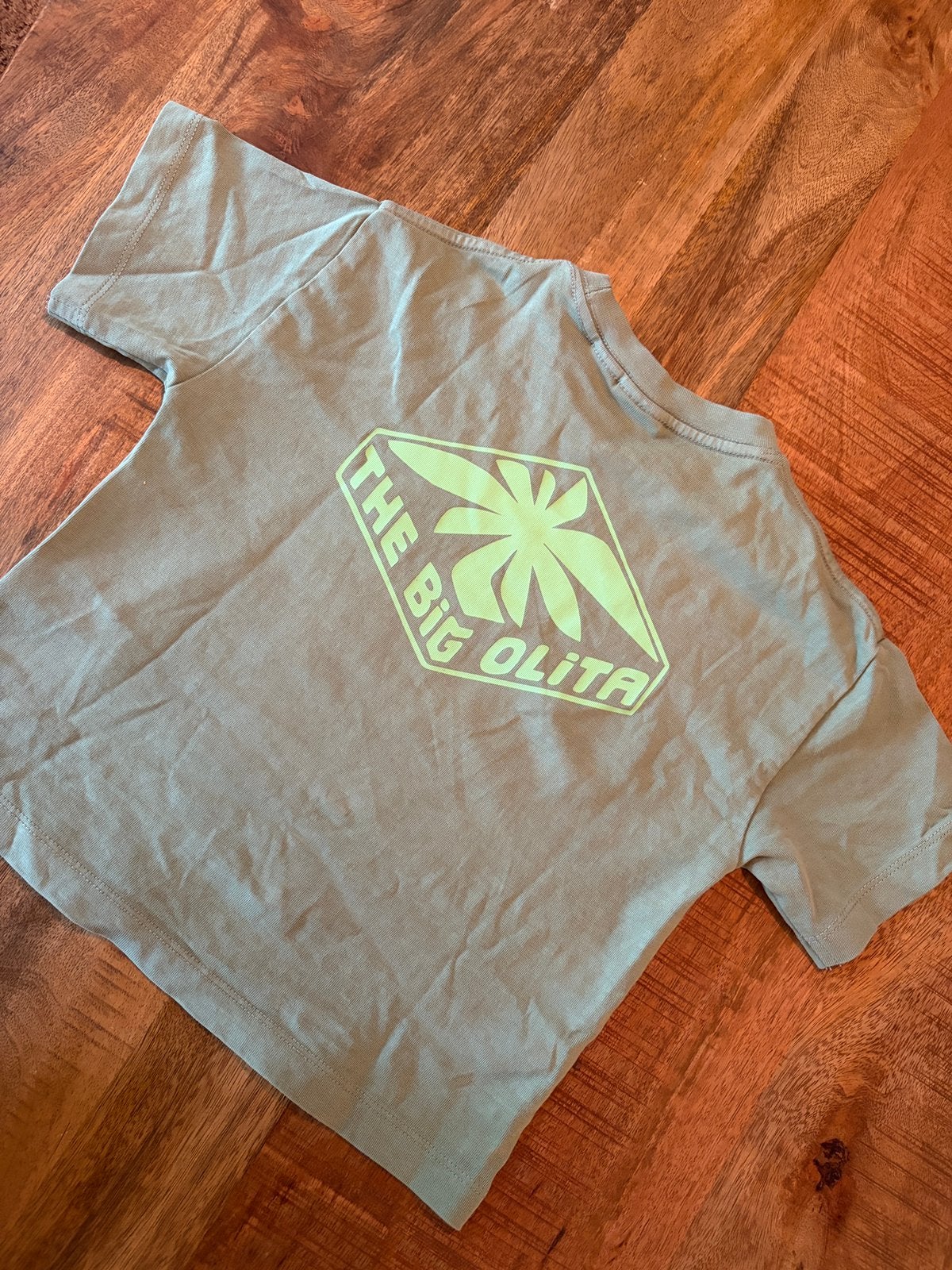 T shirt jongen, Kinderen en Baby's, Babykleding | Maat 86, Ophalen, Zo goed als nieuw, Jongetje, Shirtje of Longsleeve