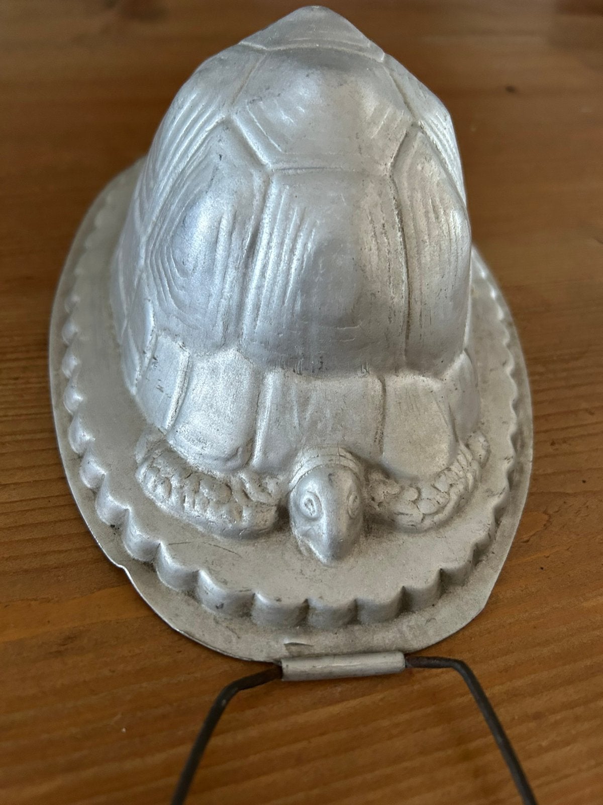 Chocolademal schilpad, Ophalen of Verzenden