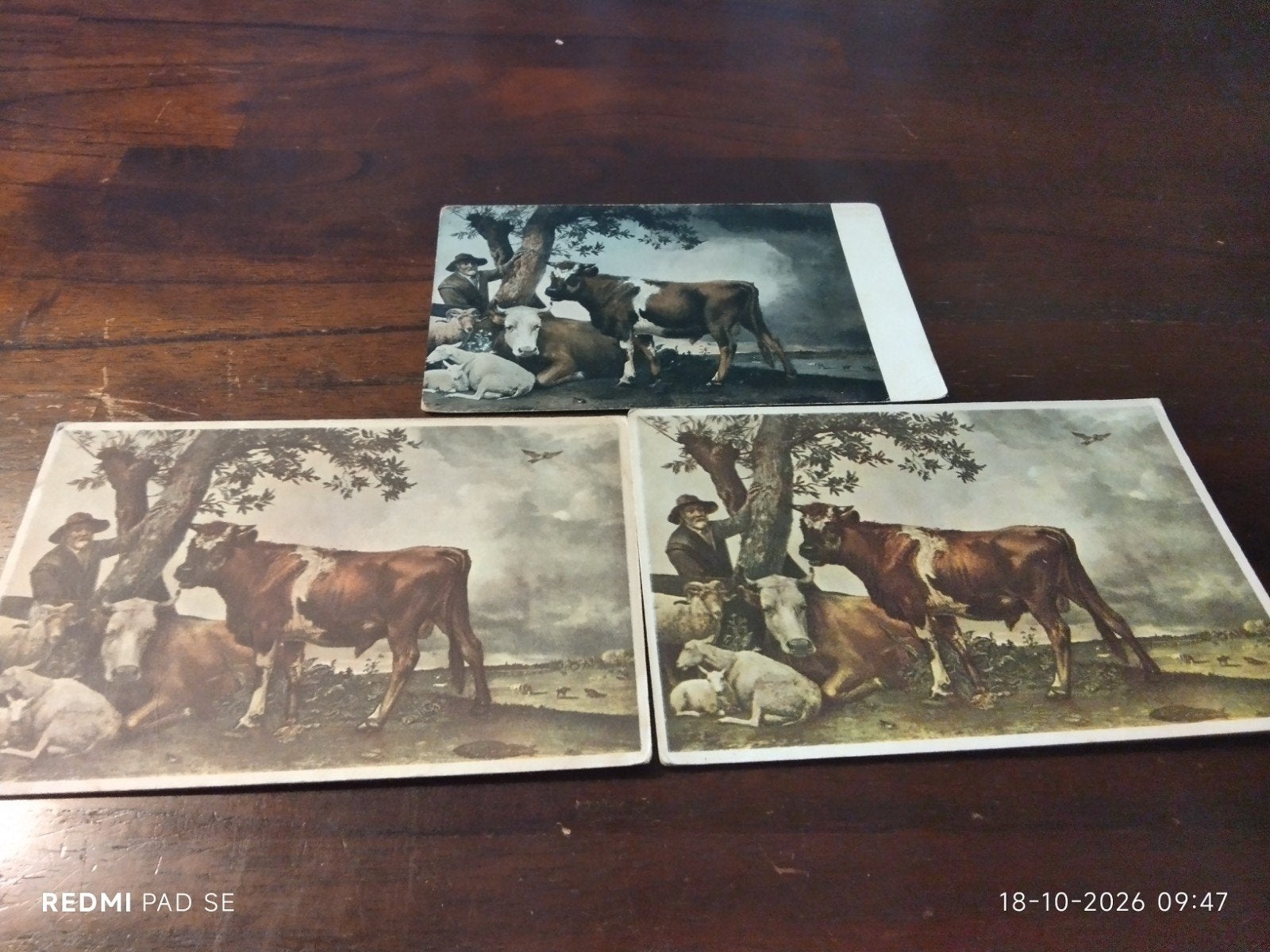 Ongelopen Ansichtkaarten - Paulus Potter 'De Jonge Stier, Ophalen of Verzenden, Voor 1920, Ongelopen, Overige soorten