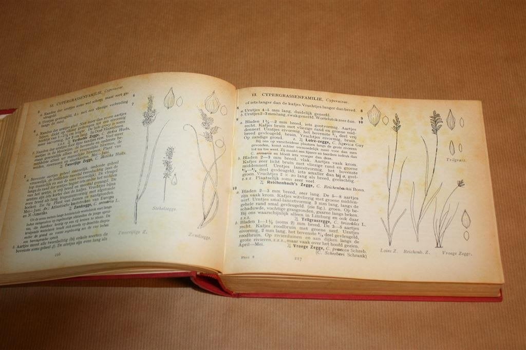 Geïllustreerde flora van Nederland. 21e druk 1965., Boeken, Natuur, Ophalen of Verzenden, Gelezen, Bloemen, Planten en Bomen